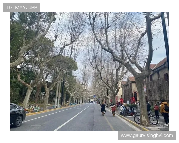 ag厅k8登录线路常见问题及解决方案，确保每次登录都顺利无阻